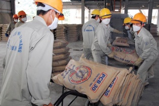 Xi măng mở rộng xuất khẩu
