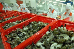 Hiệp định Thương mại tự do Việt Nam - EU (EVFTA): Dư địa lớn ẩn trong các đối sách