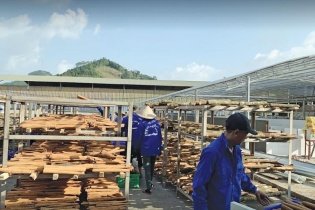 “Bệ phóng” đưa nông sản Việt vào EU