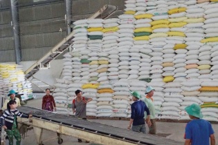 Xuất khẩu gạo được giá