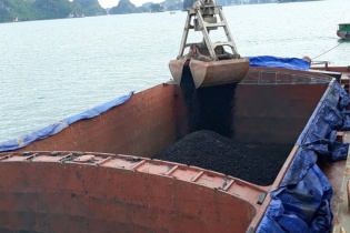 Việt Phát phiêu lưu phát hành trong mùa dịch