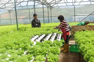 Doanh nghiệp ngành nông nghiệp: Tìm cách mở gói hỗ trợ tín dụng