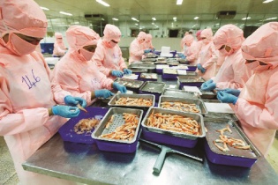 Camimex tiềm ẩn rủi ro hàng tồn kho