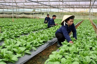 Đề xuất miễn thuế sử dụng đất tạo cú hích thu hút đầu tư vào nông nghiệp