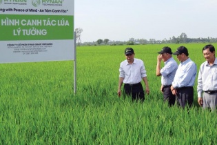 Phát triển nông thôn toàn diện, bền vững