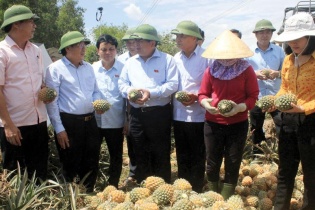 Xây dựng nông thôn mới: Quảng Trị đi lên từ cơ sở