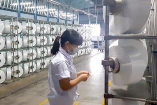 Xơ sợi polyester Đình Vũ chưa qua cơn “bạo bệnh”