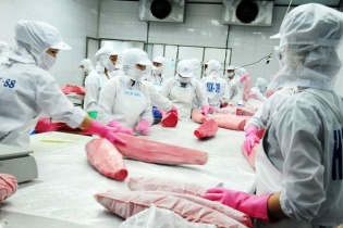 Ngành thủy sản trước ngưỡng cửa EVFTA: Không có nguyên liệu, đừng nói đến giảm thuế