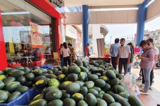 Bị áp thuế, hàng loạt doanh nghiệp giống nông nghiệp kêu cứu: VSTA quyết liệt phản biện hải quan