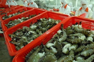 Thiết kế lại chuỗi cung ứng để tăng xuất khẩu sang EU
