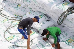 Gạo Việt có xuất được 80.000 tấn vào EU?