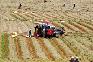 Phú Hòa chuyển mình trên vùng “đất phú, trời yên”