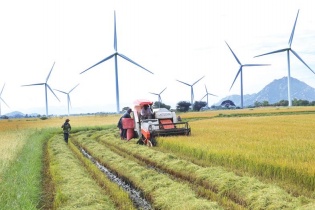 Ninh Thuận - thủ phủ năng lượng tái tạo