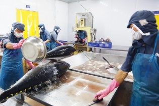 Xuất khẩu quý IV được tiếp sức