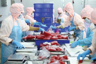 “Ông lớn” ngành thủy sản tìm cơ hội trong gian nan
