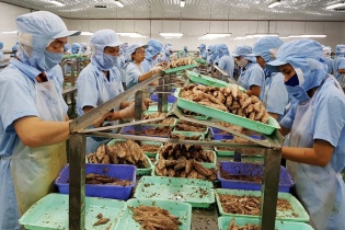 Doanh nghiệp thủy sản ứng dụng công nghệ cao vào sản xuất, nuôi trồng