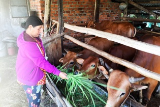 Nâng hiệu quả tín dụng chính sách xã hội từ phong trào thi đua