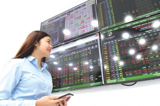 Phát hành cổ phần riêng lẻ: Đôi bên cùng có lợi
