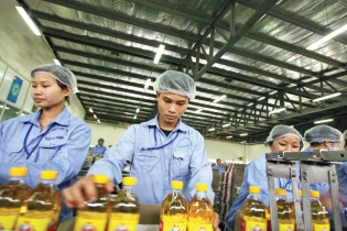 Chính sách đã có, nhưng doanh nghiệp khó hưởng