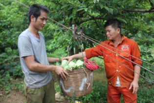 Lạng Sơn: Ứng dụng khoa học - công nghệ để phát triển sản phẩm chủ lực