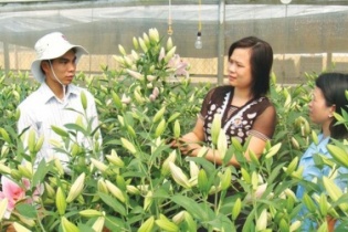 Lạng Sơn ứng dụng công nghệ để cải thiện môi trường đầu tư, kinh doanh