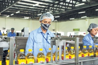 "Soi sức khoẻ" Vocarimex trước khi SCIC thoái vốn