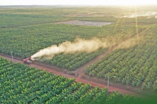 HNG hết nợ Hoàng Anh Gia Lai