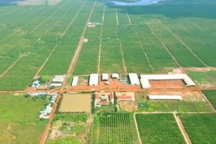 HNG tiếp tục có thêm một năm kinh doanh thua lỗ 