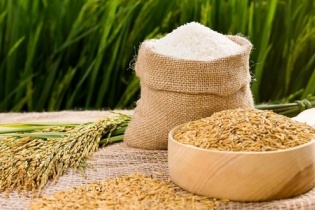 Cổ phiếu đang bị hạn chế giao dịch, VinhLongFood (VLF) lại nhận thêm án phạt