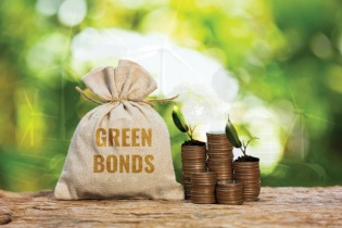 Dư nợ trái phiếu xanh tại Việt Nam đã đạt 1 tỷ USD 