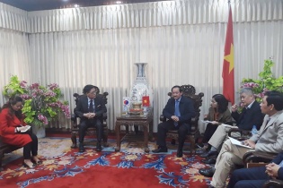 Quảng Trị: Nhà đầu tư Hàn Quốc nghiên cứu đầu tư dự án điện mặt trời tại Hải Lăng và Vĩnh Linh