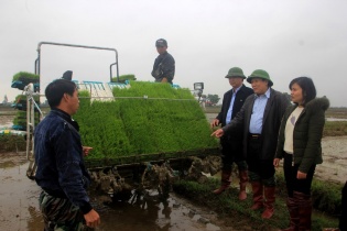 Lần đầu tiên máy cấy tự động xuất hiện trên cánh đồng Quảng Trị
