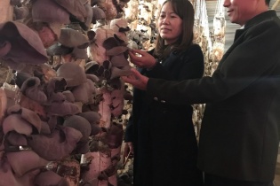 Quảng Bình: Thí điểm đưa cán bộ trẻ vừa tốt nghiệp đại học - cao đẳng về làm việc tại các hợp tác xã nông nghiệp