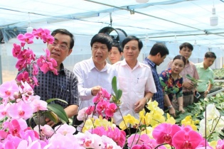 Quảng Trị: Trồng thành công hơn 13.000 giống hoa lan trên đỉnh Sa Mù