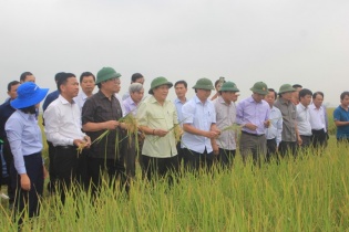 Quảng Trị: Sẽ tiến tới xây dựng Nhà máy chế biến về gạo hữu cơ 