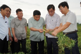 Bộ trưởng Nguyễn Chí Dũng thăm mô hình trồng sâm, nuôi tôm tại Quảng Trị