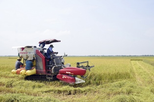 Quảng Trị sẽ có nhà máy xay xát, chế biến lúa gạo công suất 1,5 tấn/giờ