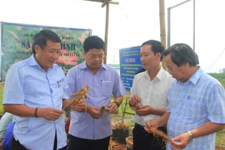 Quảng Trị: 24/24 chỉ tiêu về kinh tế xã hội đạt và vượt mức đề ra