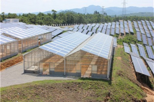 Quảng Trị: Chấp thuận chủ trương dự án trang trại kết hợp điện mặt trời áp mái