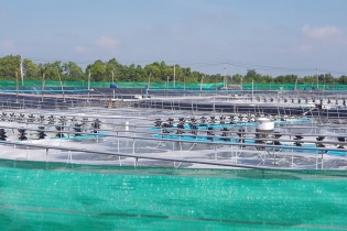 Nhà đầu tư đề xuất dự án nông nghiệp 170 triệu Euro tại Quảng Trị
