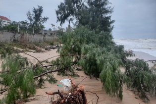 Quảng Bình đầu tư 100 tỷ đồng khắc phục sự cố sạt lở bờ biển