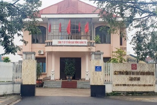 Vi phạm hồ sơ đấu thầu, một doanh nghiệp ở Quảng Trị bị xử phạt 200 triệu đồng