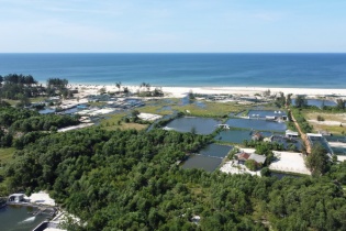 Lãnh đạo Quảng Trị yêu cầu đẩy nhanh tiến độ dự án LNG Hải Lăng