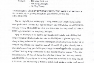 Doanh nghiệp kiến nghị xem xét việc 400.000 tấn gạo thông quan chỉ trong 3 giờ trong đêm
