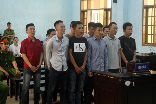 Tuyên án đường dây vận chuyển gỗ trái phép từ Kon Tum về tỉnh Gia Lai