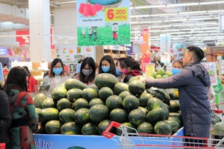 Hiệp hội Thương mại Giống cây trồng Việt Nam phản biện Hải quan quyết liệt