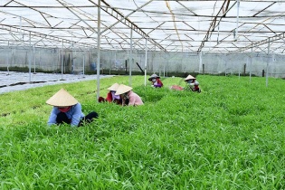 Sở Tài nguyên và Môi trường Bình Dương "sáng tác" cớ, Vinamit liêu xiêu