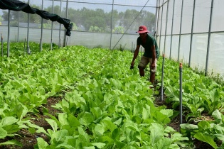 Bình Dương dừng thanh tra Vinamit