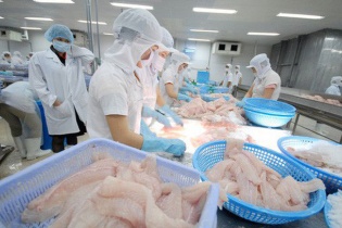 Thủy sản Việt vào thị trường RCEP: Không có bữa ăn nào miễn phí