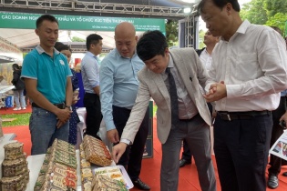 Hàng nông sản xuất khẩu của doanh nghiệp Việt phải dán nhãn “Tây”